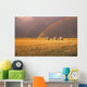 Rainbow Over Wheat Field Wall Mural