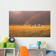 Rainbow Over Wheat Field Wall Mural