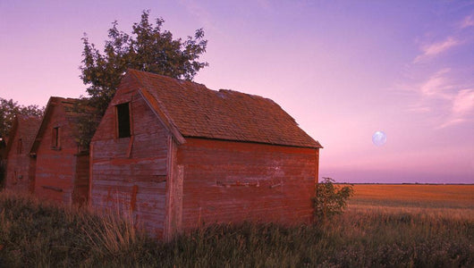 Farm Buildings Wall Mural