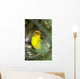 Western Bird