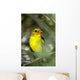 Western Bird