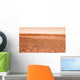 Mars Wall Decal