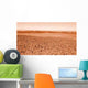 Mars Wall Decal