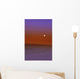 Sunset In A Desert Wall Mural
