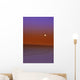 Sunset In A Desert Wall Mural