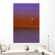 Sunset In A Desert Wall Mural