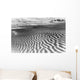 Great Sand Hills At Sunrise Saskatchewan Canada Wall Mural