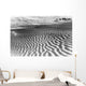 Great Sand Hills At Sunrise Saskatchewan Canada Wall Mural