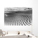 Great Sand Hills At Sunrise Saskatchewan Canada Wall Mural