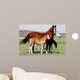 Mares Baby Horses Wall Decal
