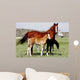 Mares Baby Horses Wall Decal