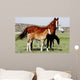 Mares Baby Horses Wall Decal