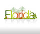 Florida Wall Mural