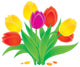 Blossoming tulips Wall Decal