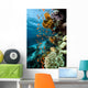 Fish Coral and Ocean Wall Mural