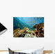 Fish Coral and Ocean Wall Mural