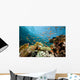 Fish Coral and Ocean Wall Mural