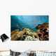 Fish Coral and Ocean Wall Mural