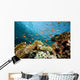 Fish Coral and Ocean Wall Mural