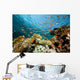 Fish Coral and Ocean Wall Mural