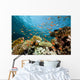 Fish Coral and Ocean Wall Mural