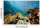 Fish Coral and Ocean Wall Mural