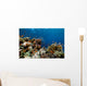 Fish Coral and Ocean Wall Mural