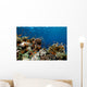 Fish Coral and Ocean Wall Mural