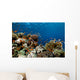 Fish Coral and Ocean Wall Mural