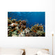 Fish Coral and Ocean Wall Mural