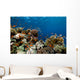 Fish Coral and Ocean Wall Mural