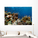 Fish Coral and Ocean Wall Mural