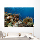 Fish Coral and Ocean Wall Mural