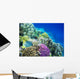 Underwater Life of a Hard-Coral Reef Wall Mural