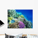 Underwater Life of a Hard-Coral Reef Wall Mural