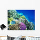 Underwater Life of a Hard-Coral Reef Wall Mural