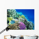 Underwater Life of a Hard-Coral Reef Wall Mural