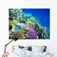 Underwater Life of a Hard-Coral Reef Wall Mural