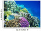 Underwater Life of a Hard-Coral Reef Wall Mural