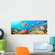 Underwater Panorama Wall Mural