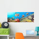 Underwater Panorama Wall Mural