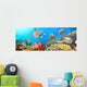 Underwater Panorama Wall Mural