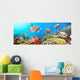 Underwater Panorama Wall Mural
