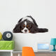 Cavalier King Spaniel Dog Wall Decal