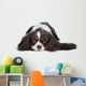 Cavalier King Spaniel Dog Wall Decal