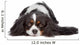Cavalier King Spaniel Dog Wall Decal