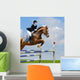 Equestrian Jumper Wall Mural