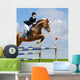 Equestrian Jumper Wall Mural