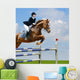 Equestrian Jumper Wall Mural