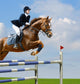 Equestrian Jumper Wall Mural